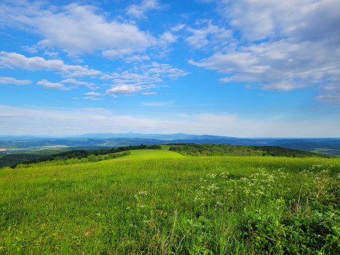 Zimný výstup na kopec ,,BUČKY"