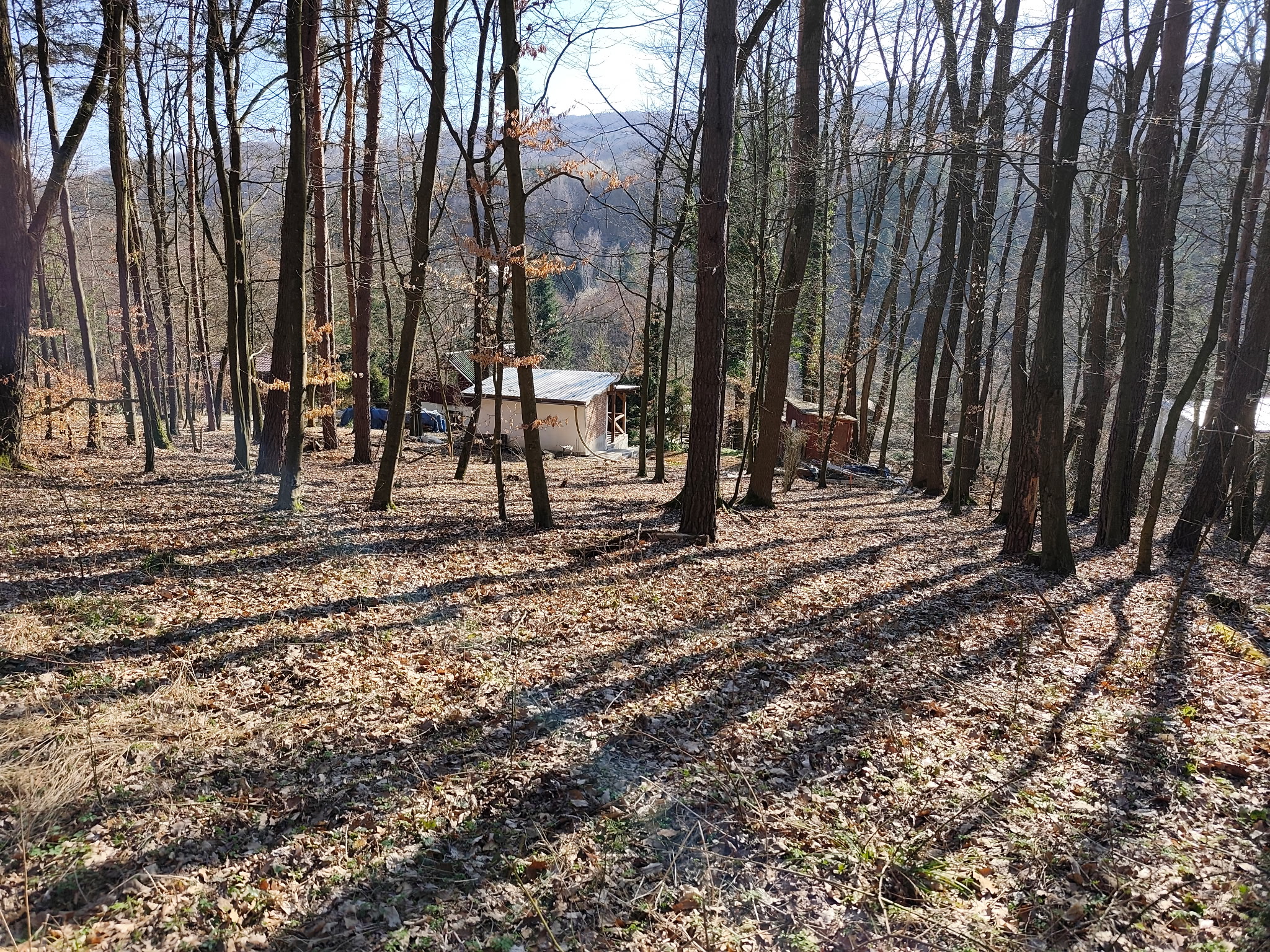 IMG_20260320_083603 (1).jpg (1.87 MB)