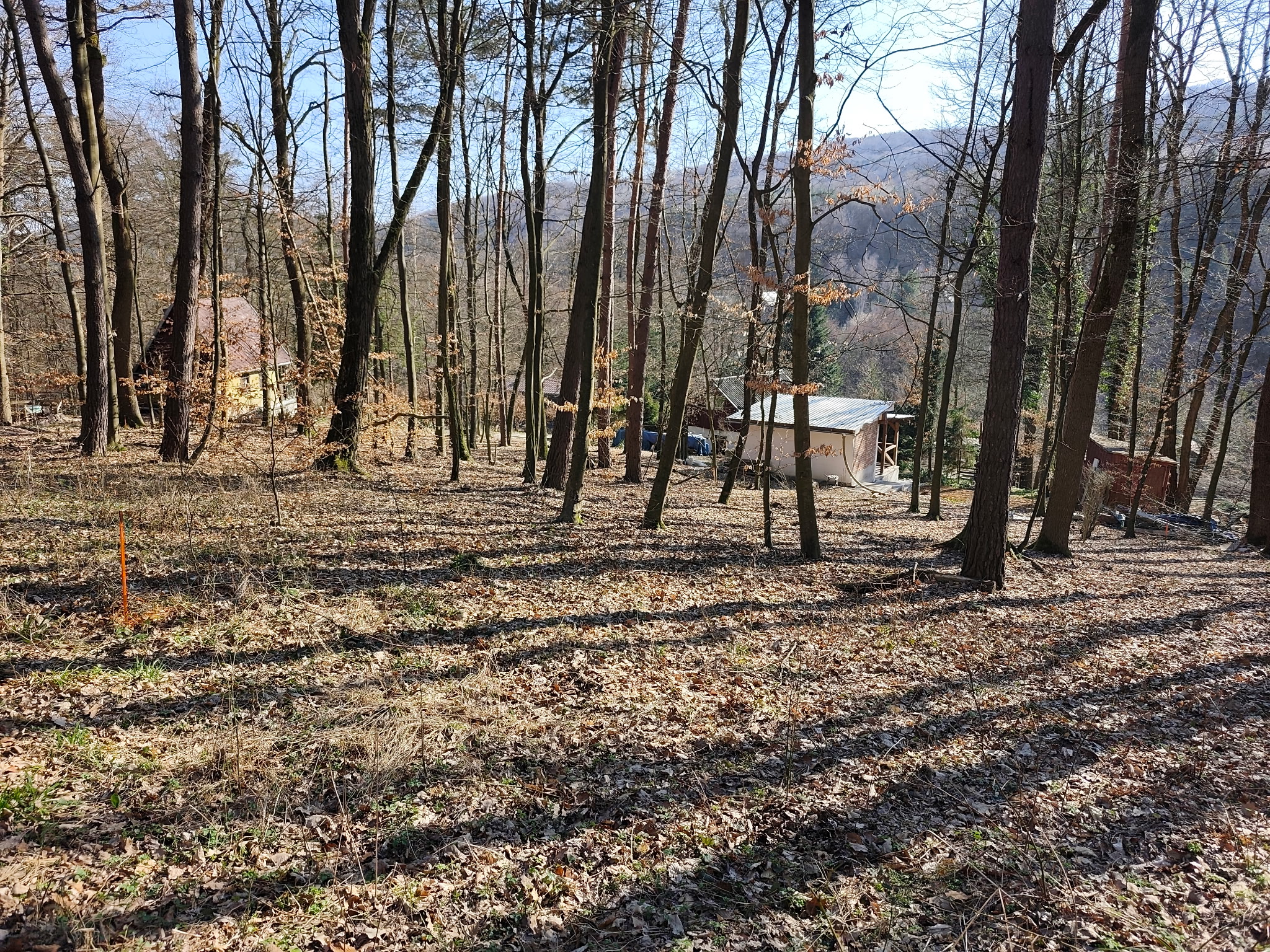 IMG_20260320_083605 (1).jpg (1.96 MB)