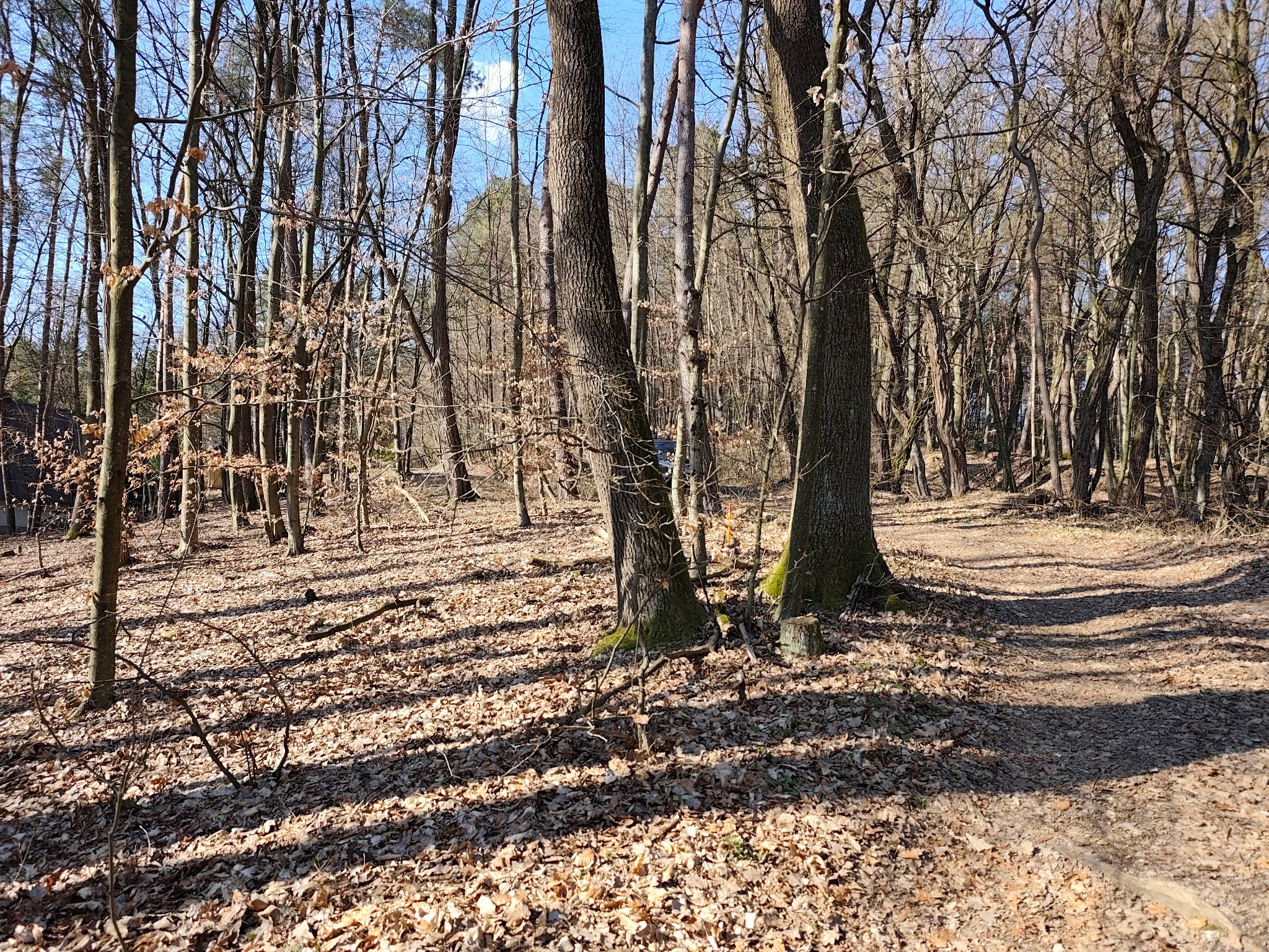 IMG_20260320_083607 (1).jpg (1.83 MB)