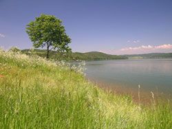 9522915a94493ae8838eb6558b1e2c26.jpg (10 KB)